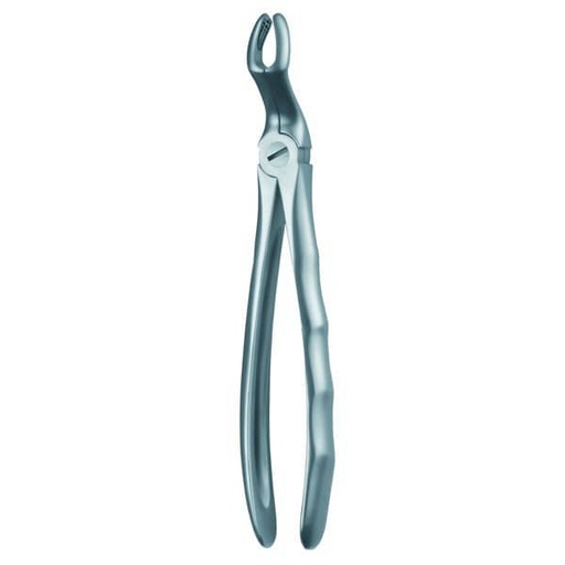 [MR0155] 67 A FORCEPS MARTIN