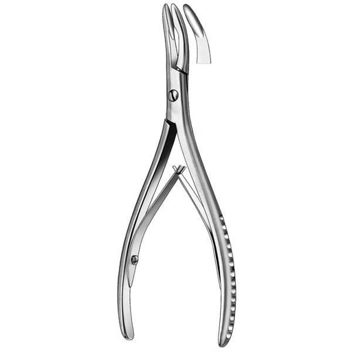 [MR1554] 1831/2-17CM GUBIA LUERMARTIN