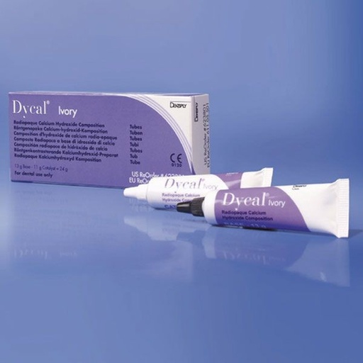 [DT1009] DYCAL IVORY 13+11gr. HIDROXIDO DE CALCIO