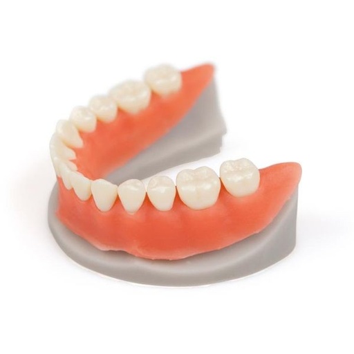 [DW0007] RESINA PARA MASCARAS GINGIVALES GL4000