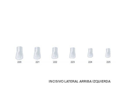 [FR0043] 221 CORONAS ST5K221 LATERAL SUP.IZDA. X5 215513