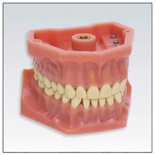 [FR0132] A-3 FRASACO FANTOMA