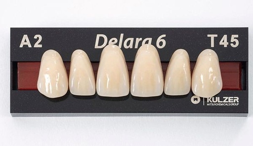 [HE1647] DELARA ant inf L36 A2