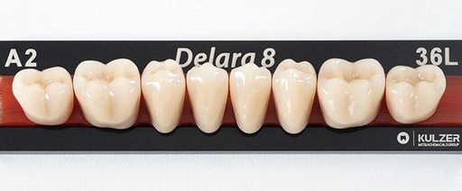 [HE1665] DELARA ant sup O47 A4