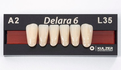 [HE1698] DELARA ant inf L35 C2