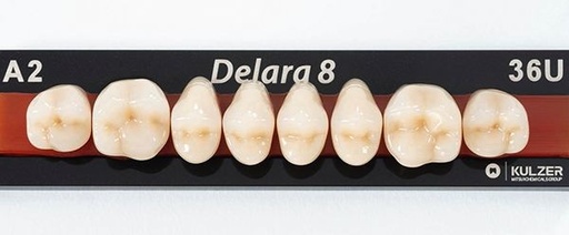 [HE1701] DELARA post sup 34U B1