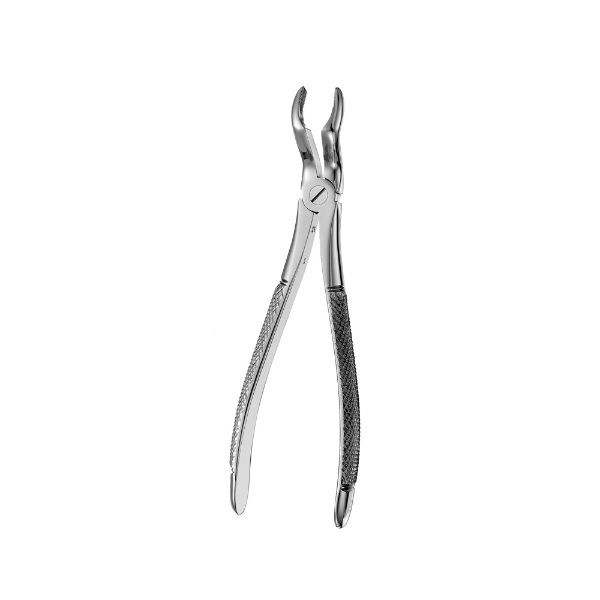 FX67A FORCEPS CORDAL SUP.
