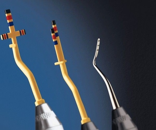 [HF1629] SCHUSETD CALIBRE CHU HU FRIEDY 220171