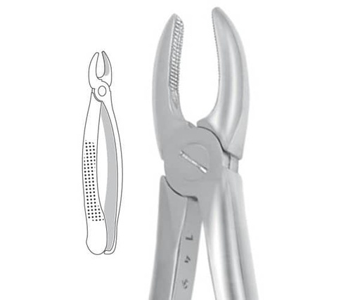 [HF1788] FX1E FORCEPS DE RAÍCES HU-FRIEDY