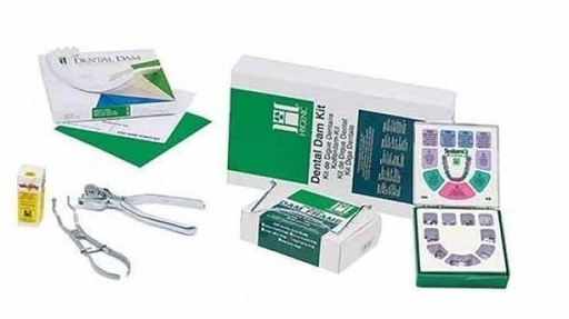 [HY0060] WINGED FIESTA KIT COMPLETO