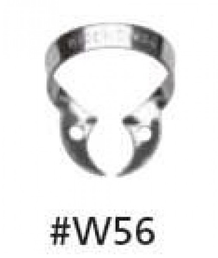 [HY0079] W56 CLAMP SIN ALA MOLARES