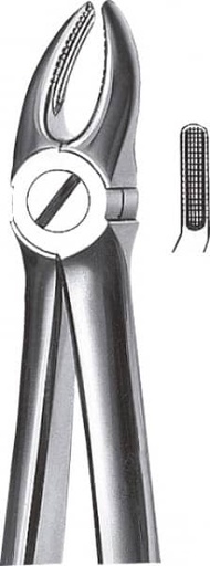 [KM0169] FORCEPS KDM 07 maxilar sup premolares (K-60007)