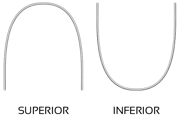 C5950-12 ARCOS RED MEMORIA 012 INF.