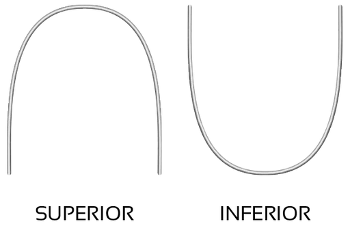 [LE0127] C5950-12 ARCOS RED MEMORIA 012 INF.