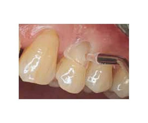 [LM0165] 7604 MATRICES CERVICALES P/CANINOS PREM. 33891