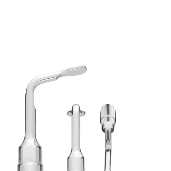 EL2 INSERT PIEZOSURGERY