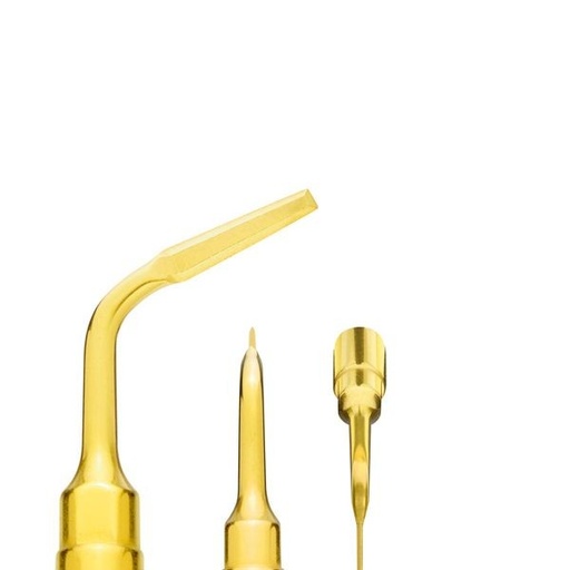 [MC0440] EX1 INSERT. MECTRON PARA PIEZOSURGERY