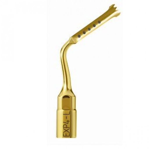 [MC0456] EXP4-L  INSERT. MECTRON