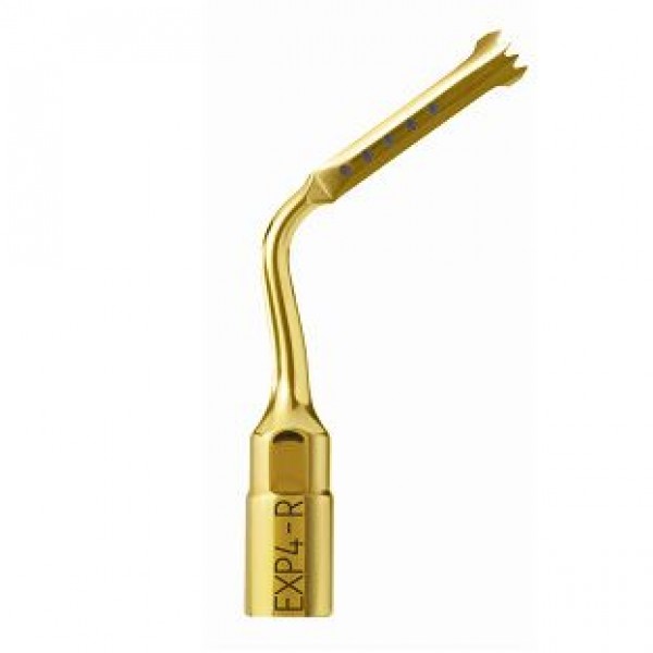 EXP4-R  INSERT. MECTRON