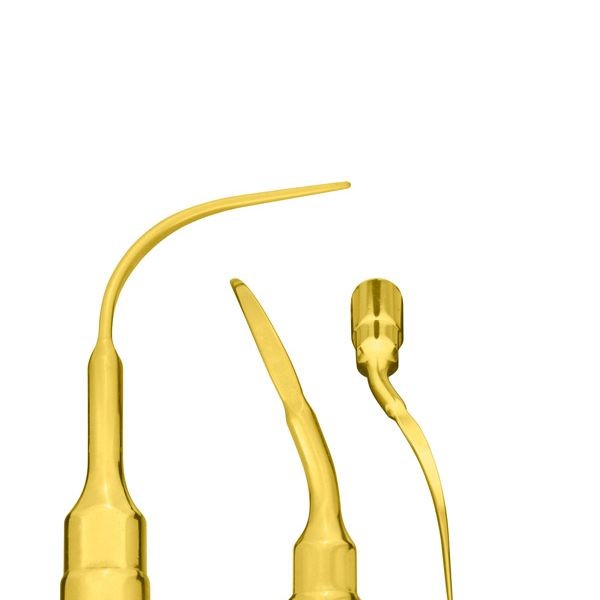 PP12 INSERT. P/PIEZON SURGERY