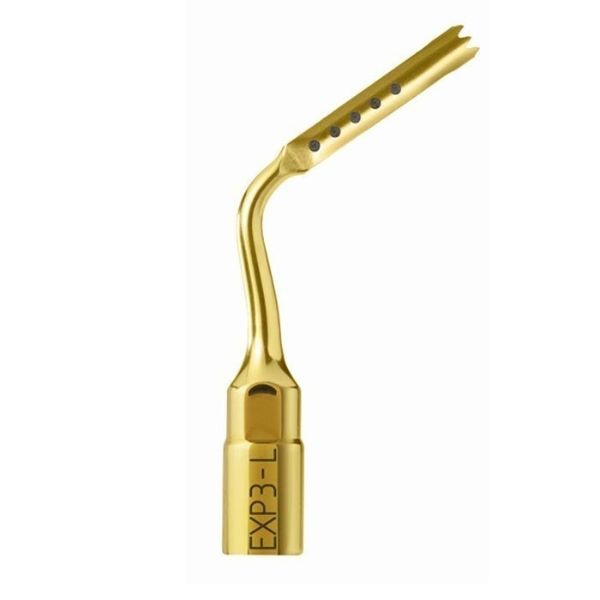 EXP3-L  INSERT. MECTRON