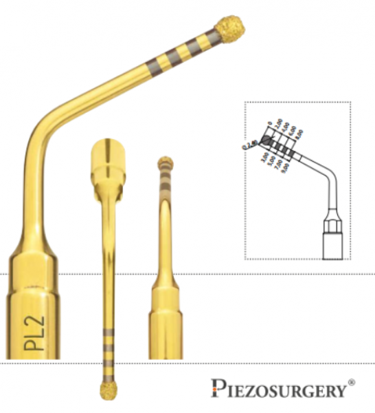 PL2 INSERT. MECTRON PARA PIEZOSURGERY