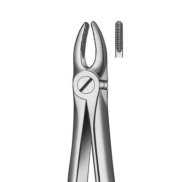 E2 FORCEPS INCISIVO-CANINO SU MARTIN