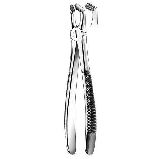 [MR0548] E79 FORCEPS MARTIN