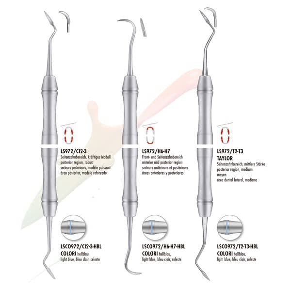972/T2-T3 RASPADOR TAYLOR