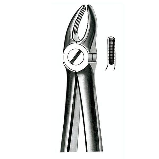 [MR1532] E7 FORCEPS PREMOLAR MARTIN