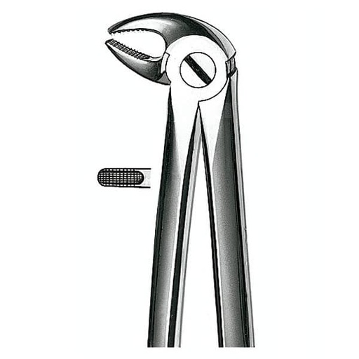 [MR1636] E13 FORCEPS PREMOLAR INFERIOR MARTIN