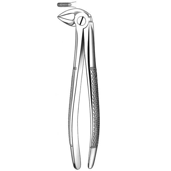 E33 FORCEPS MARTIN