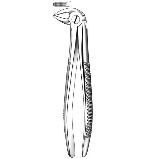 [MR1702] E33 FORCEPS MARTIN