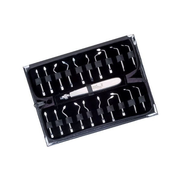 1809 ESTUCHE DE PUNTAS SINDESMOTOM. CON MANGO 20u