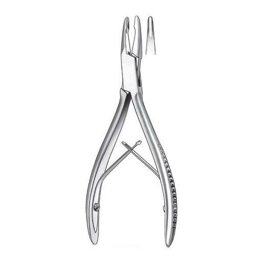 [MR1872] 1830/1-14,5CM. GUBIA FRIEDMAN