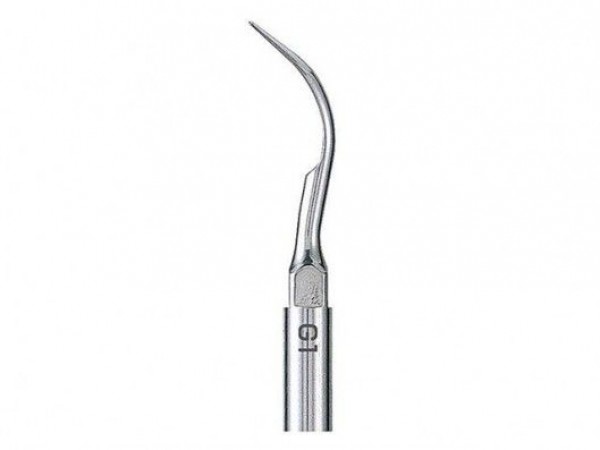 G1 PUNTA: ESCARIFICACIÓN