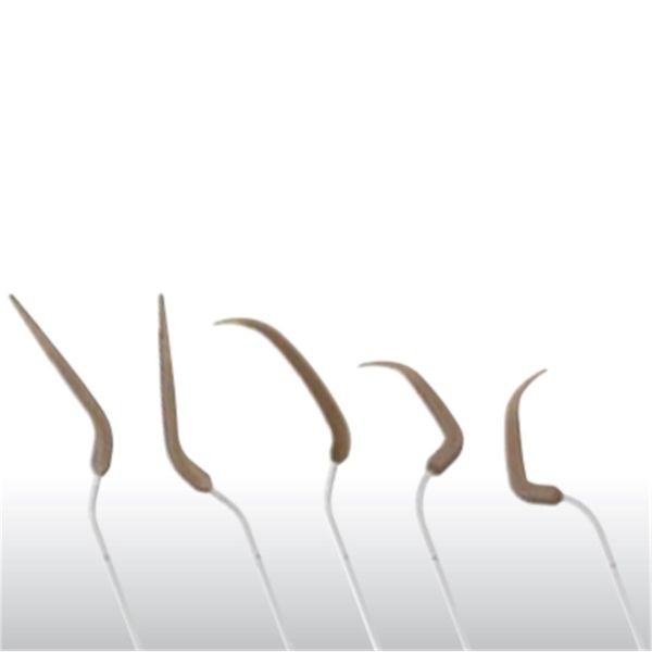 V10, V-P11R, V-P11L, V-P26R, V-P26L + LLAVE