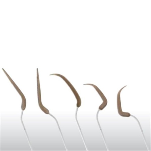 [NS8263] V10, V-P11R, V-P11L, V-P26R, V-P26L + LLAVE