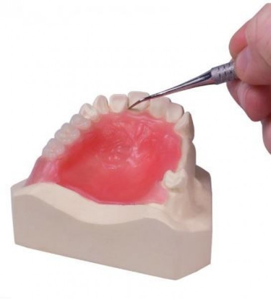 CERA PROTECHNO p/paladar 30U