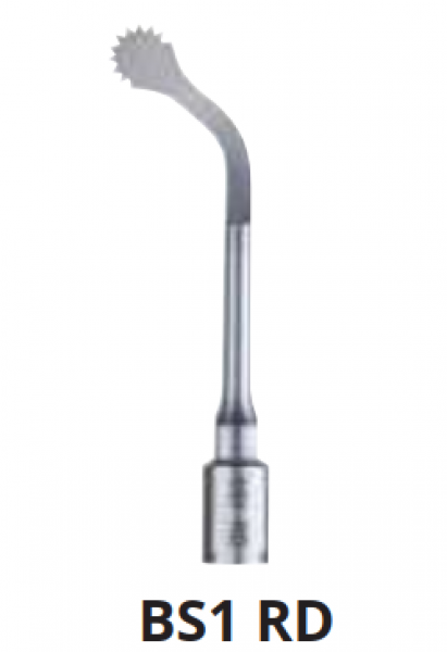 BS1 INSERTO BONE ROUNDED