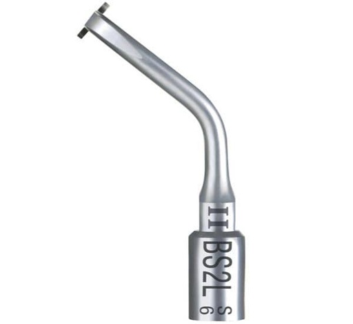 [SA0829] BS2L 2 INSERTO BONE