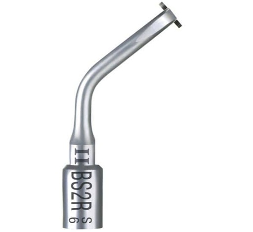 [SA0831] BS2R 2 INSERTO BONE