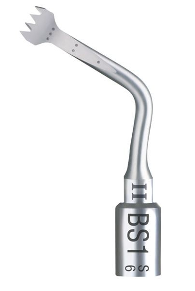 BS1 2 INSERTO BONE SLIM