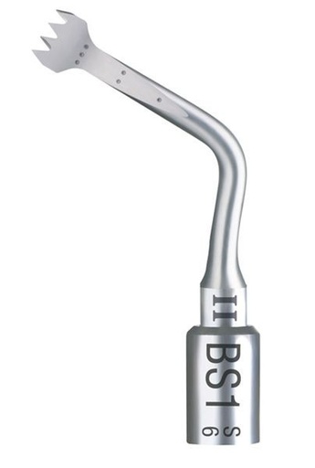 [SA0910] BS1 2 INSERTO BONE SLIM