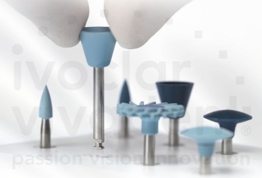 [VI0871] OPTRAGLOSS PULIDOR LLAMA PP 10ud.