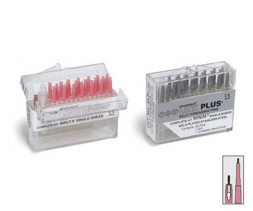 [WA0199] L501 PINS LINK KIT INTRO 20ud(plata+oro+fresak89)