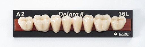 [HE1720] DELARA post inf 34L B2