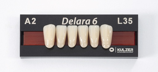 [HE1718] DELARA ant inf L38 B2